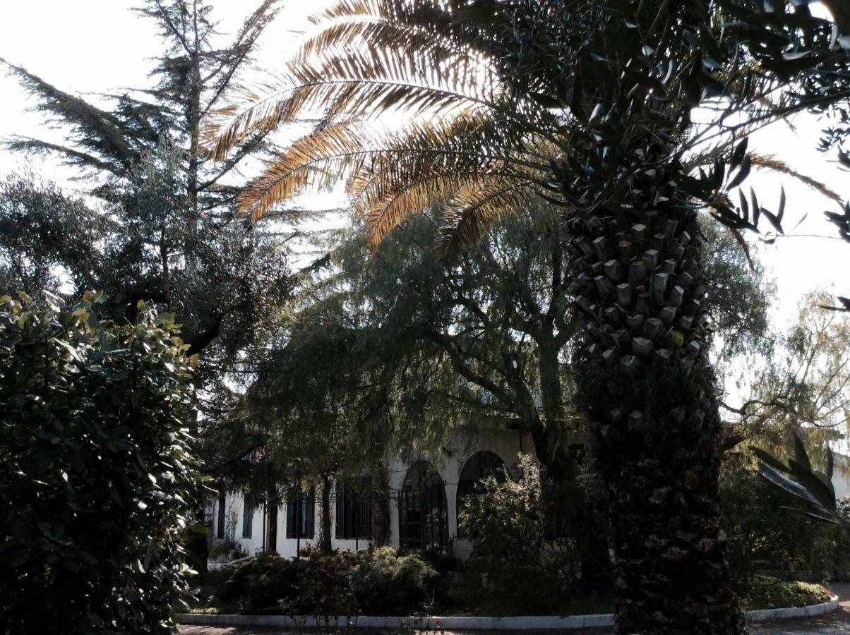 Paradiso In Campagna Triggianello エクステリア 写真
